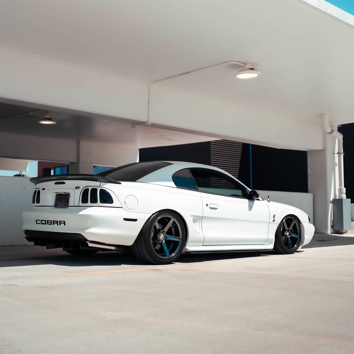 WHite ford Mustang SN95 with blacked out taillights and carbon fiber trunk spoiler Saleen S281